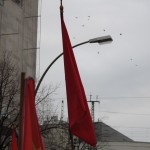 IMG_5281 IMG_5281
