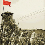 8. Mai: Wir wurden befreit – kapituliert haben die anderen!